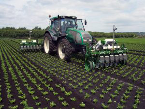 Electrically driven vision guided within-row mechanical weeder