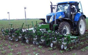 Hydraulically driven vision guided within-row mechanical weeder